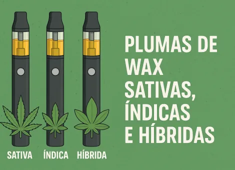 Diferencia entre Plumas de Wax Sativas, Índicas e Híbridas