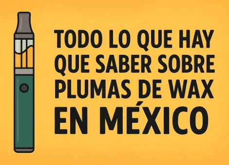 Guía definitiva sobre las Plumas de wax en México
