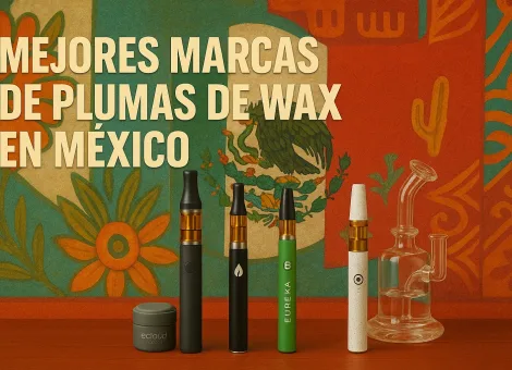 las-Mejores-Marcas-de-Plumas-de-Wax-en-Mexico