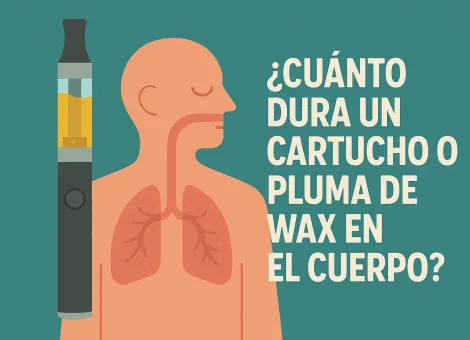 Cuánto Dura un Cartucho o Pluma de Wax en el Cuerpo