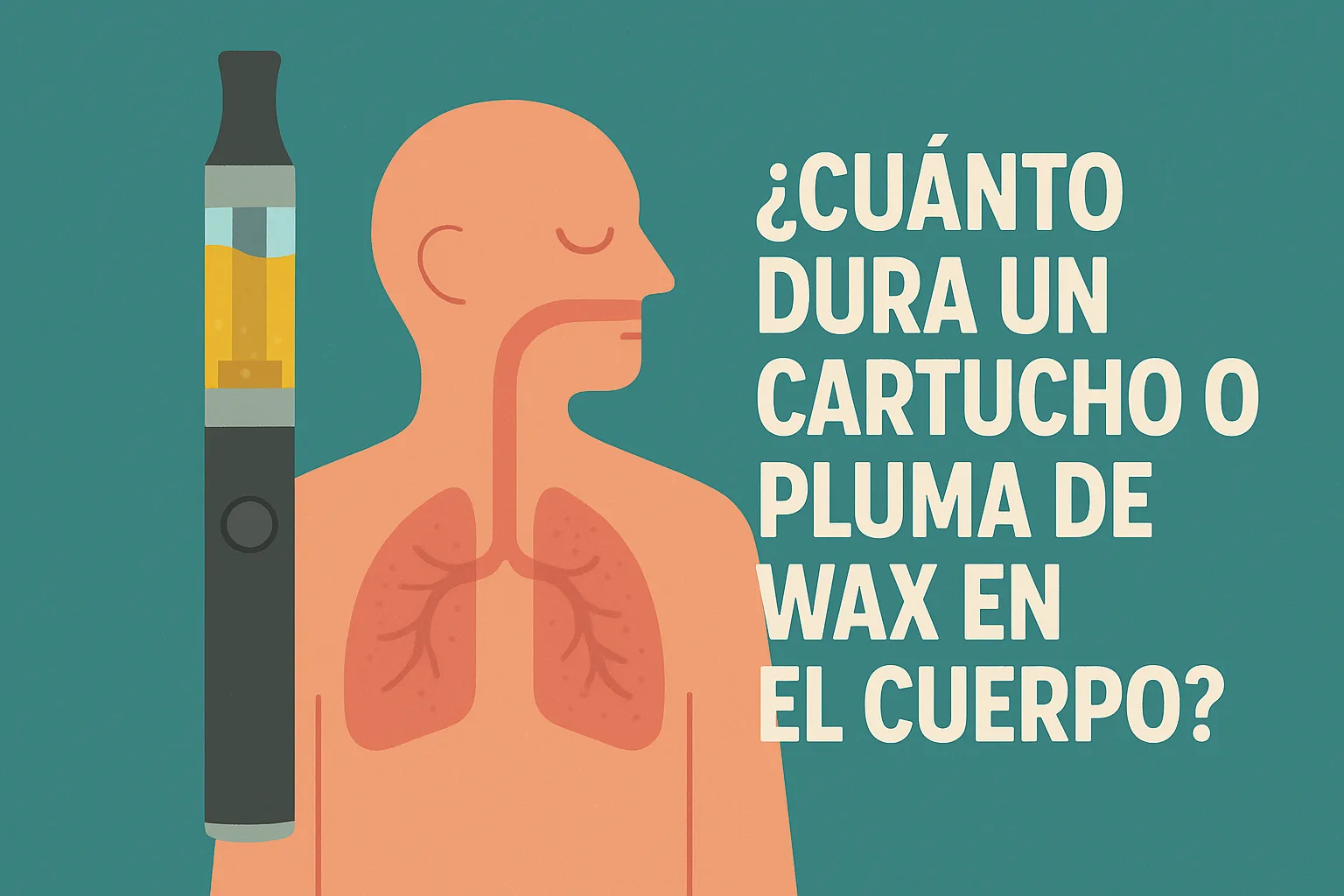 Cuánto Dura un Cartucho o Pluma de Wax en el Cuerpo