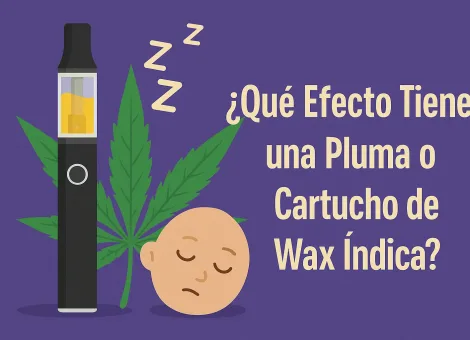 Qué efecto tiene una pluma o cartucho de wax índica