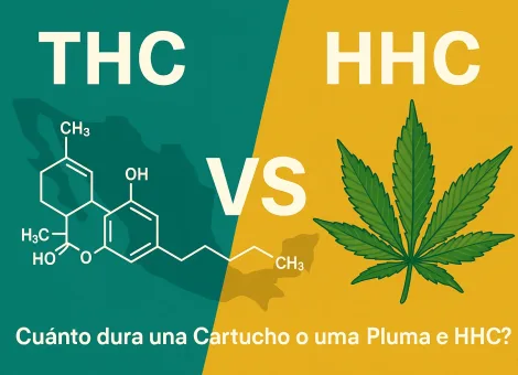 diferencias entre thc y hhc