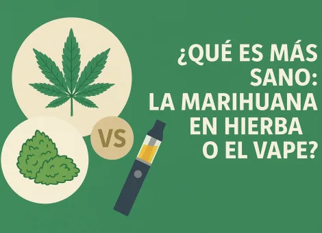 qué es más sano vapear o fumar marihuana